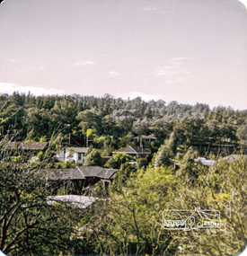 Photograph, Out of our back window at Eltham looking up towards Woodridge, 1976, 1976