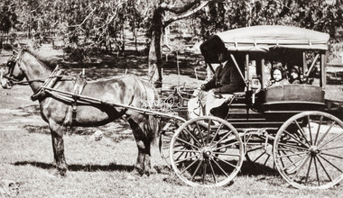 Negative - Photograph, P.A. Cooper with the Cooper family Waggonette at "Evansdale," Sherbourne Road, Greensborough, 1913
