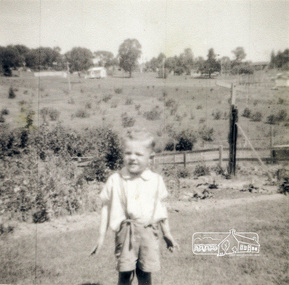 Photograph, Graeme Landy (approx. 3); looking east north east from the backyard of 38 Beattie Street, Montmorency, c.1951, 1952c