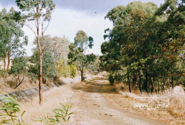 Photograph, Maroondah Aqueduct trail west of Parsons Road, Eltham, 1991