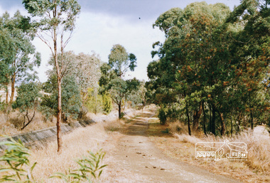 Photograph, Maroondah Aqueduct trail west of Parsons Road, Eltham, 1991, 1991