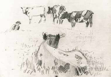 Photograph, Study of cows