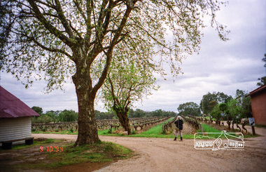 Photograph, Chateau Tahbilk Winery; 9 Oct 1994, 20/11/1994