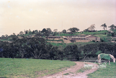 Photograph, Believed to be in the region of Cleveland Avenue, Lower Plenty, c.1980s, 1980s