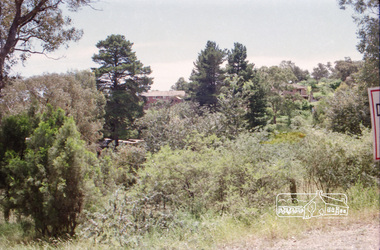 Photograph, Believed to be Mannish Road, Wattle Glen, c.1989, 1989c