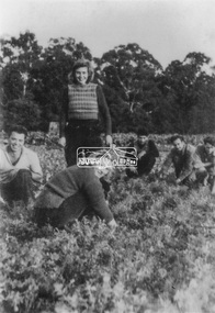 Photograph, At Bell Street; from left: Maurie Fabbro, Myra Skipper, Unknown, Arthur Munday, Ian Robertson. Helen Comprione in front