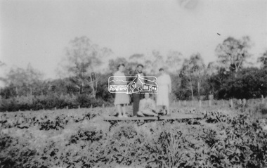 Photograph, At Bell Street, Eltham; from left: Helen Skipper, Matcham Skipper, Sonia Skipper and possibly Myra Skipper