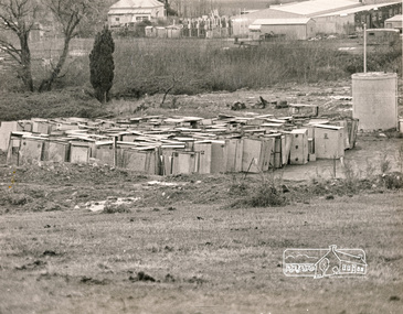 Photograph, N. J. Tillings Timber Factory, 15 June, 1975, 15/06/1975
