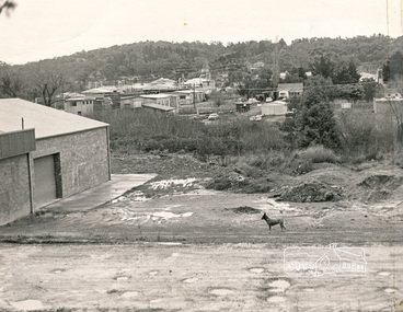 Photograph, N. J. Tillings Timber Factory, 15 June, 1975, 15/06/1975