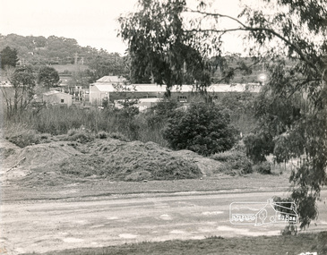 Photograph, N. J. Tillings Timber Factory, 15 June, 1975, 15/06/1975
