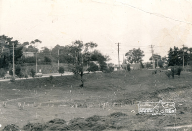 Photograph, Alistair Knox Park, Eltham, c.1970, 1970c