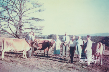 Photograph, View from back verandah, c.1940; most likely the Bassett-Smith home in York Street, Eltham, 1940