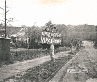 Photograph, Avenue of Honour trees on Main Road below Brougham Street. The sign is indicative of local anger at the pruning, 1969