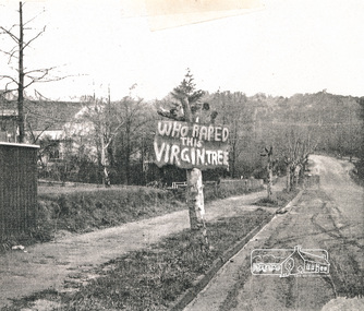 Photograph, Avenue of Honour trees on Main Road below Brougham Street. The sign is indicative of local anger at the pruning, 1969, 1969