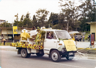 Photograph, Country Womens Association Montmorency, Eltham Community Festival Parade, Main Road opposite Wingrove Park, 4 August 1978, 04/08/1978