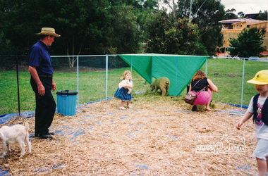 Photograph, Petting Zoo, Eltham Festival, Nov 1993, 1993