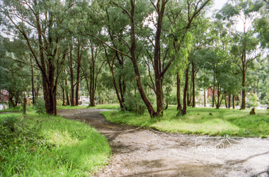 Photograph, Vacant land at 816 Heidelberg-Kinglake Road, Hurstbridge, c.1980, 1980c