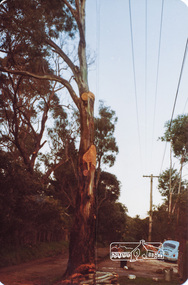 Photograph, Napoleon Street near Bible Street, Eltham
