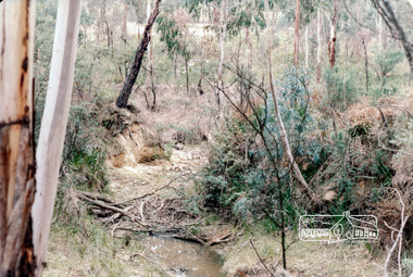 Photograph, Long Gully and environs, Watsons Creek catchment, c.Oct 1982, 1982