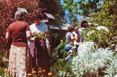 Photograph, Classroom activities, Eltham Living and Learning Centre