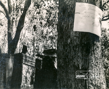 Photograph, George W. Bell, Message from 'Windy' Gale, Wild Dog Creek Road, Jan. 1962, Jan 1962