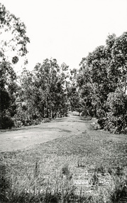 Photograph, Tom Prior, Nearing Research from Eltham