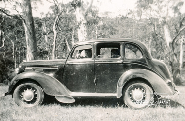 Photograph, Probably Heather Jenkins (nee Sargeant) in a 1946 Morris 10, c.1946