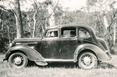 Photograph, Probably Heather Cone in a 1946 Morris 10, c.1946