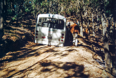 Photograph, Dedication of Everard Memorial, Mt Everard, Kinglake National Park, 22 April, 2004, 22/04/2004
