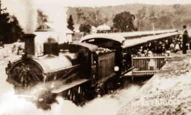 Negative - Photograph, Wattle Day train, Hurstbridge