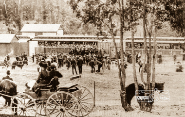 Photograph, Hurstbridge Railway Station, Wattle Day, c.1912