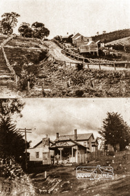Negative - Photograph, Albert Jones, 'Golden Glen' at Wattle Glen and the Wattle Glen General Store, c.1910