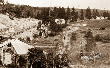 Negative - Photograph, Silvan Gully area, Upper Diamond Creek, c.1911