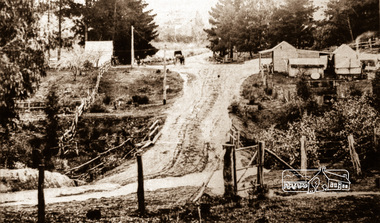 Negative - Photograph, Albert Jones (poss), Probably the property 'Golden Glen', home of photographer, Albert Jones, c.1910
