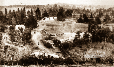 Negative - Photograph, Albert Jones (poss), Probably Wattle Glen, c.1910