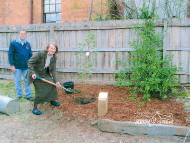 Photograph, Russell Yeoman and Margaret Deighton, daughter of Blanche Shallard; tree planting and plaque dedication in memory of Society member, Blanche Shallard, 11 Dec 2002, 11/12/2002