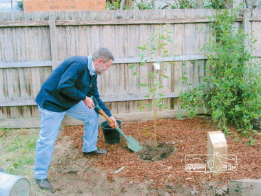 Photograph, Russell Yeoman; tree planting and plaque dedication in memory of Society member, Blanche Shallard, 11 Dec 2002, 11/12/2002
