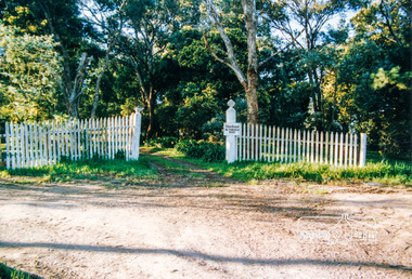 Photograph, Stanhope, Peter Street, Eltham