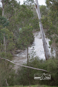 Photograph, Peter Pidgeon, Heritage Excursion; Laughing Waters, Laughing Waters Road, Eltham, 7 Sep 2013