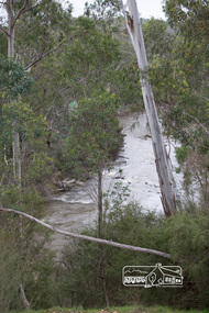 Photograph, Peter Pidgeon, Heritage Excursion; Laughing Waters, Laughing Waters Road, Eltham, 7 Sep 2013, 7 Sep 2013