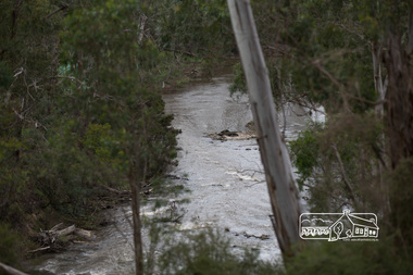 Photograph, Peter Pidgeon, Heritage Excursion; Laughing Waters, Laughing Waters Road, Eltham, 7 Sep 2013, 7 Sep 2013
