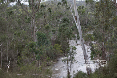 Photograph, Peter Pidgeon, Heritage Excursion; Laughing Waters, Laughing Waters Road, Eltham, 7 Sep 2013