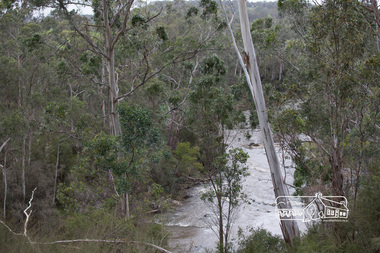 Photograph, Peter Pidgeon, Heritage Excursion; Laughing Waters, Laughing Waters Road, Eltham, 7 Sep 2013, 7 Sep 2013