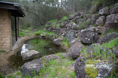 Photograph, Peter Pidgeon, Heritage Excursion; Laughing Waters, Laughing Waters Road, Eltham, 7 Sep 2013, 7 Sep 2013