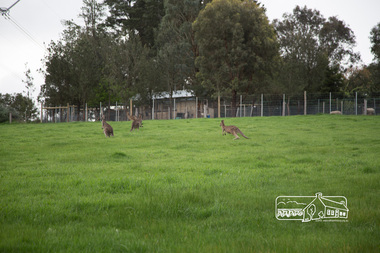 Photograph, Peter Pidgeon, Heritage Excursion; Laughing Waters, Laughing Waters Road, Eltham, 7 Sep 2013, 7 Sep 2013