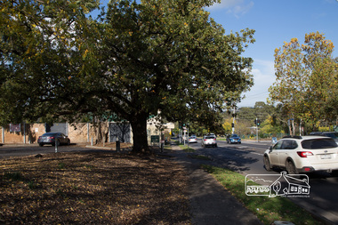 Photograph, Peter Pidgeon, Looking south along Main Road from Eltham Hotel, 20 May 2017, 20 May 2017