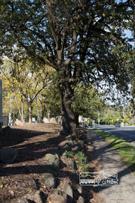 Photograph, Peter Pidgeon, Looking south along Main Road from Eltham Hotel, 20 May 2017, 20 May 2017