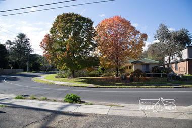 Photograph, Peter Pidgeon, Looking towards the change of Bible Street to Grove Street from Bible Street Reserve, Eltham, 20 May 2017, 20 May 2017