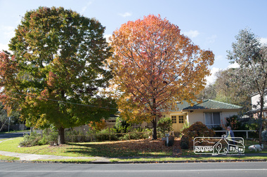 Photograph, Peter Pidgeon, Looking towards the change of Bible Street to Grove Street from Bible Street Reserve, Eltham, 20 May 2017, 20 May 2017