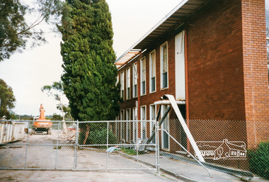 Photograph, Cr. Peter Graham, Mediterranean Cypress Pine trees at front of Shire office building, 12 Aug 1996, 12/08/1996